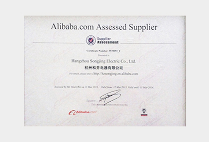 Alibaba.com-Assessed-Supplier